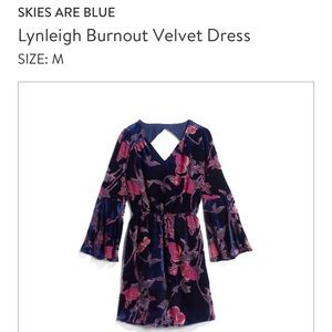 Skies are Blue Stitch Fix velvet burnout dress